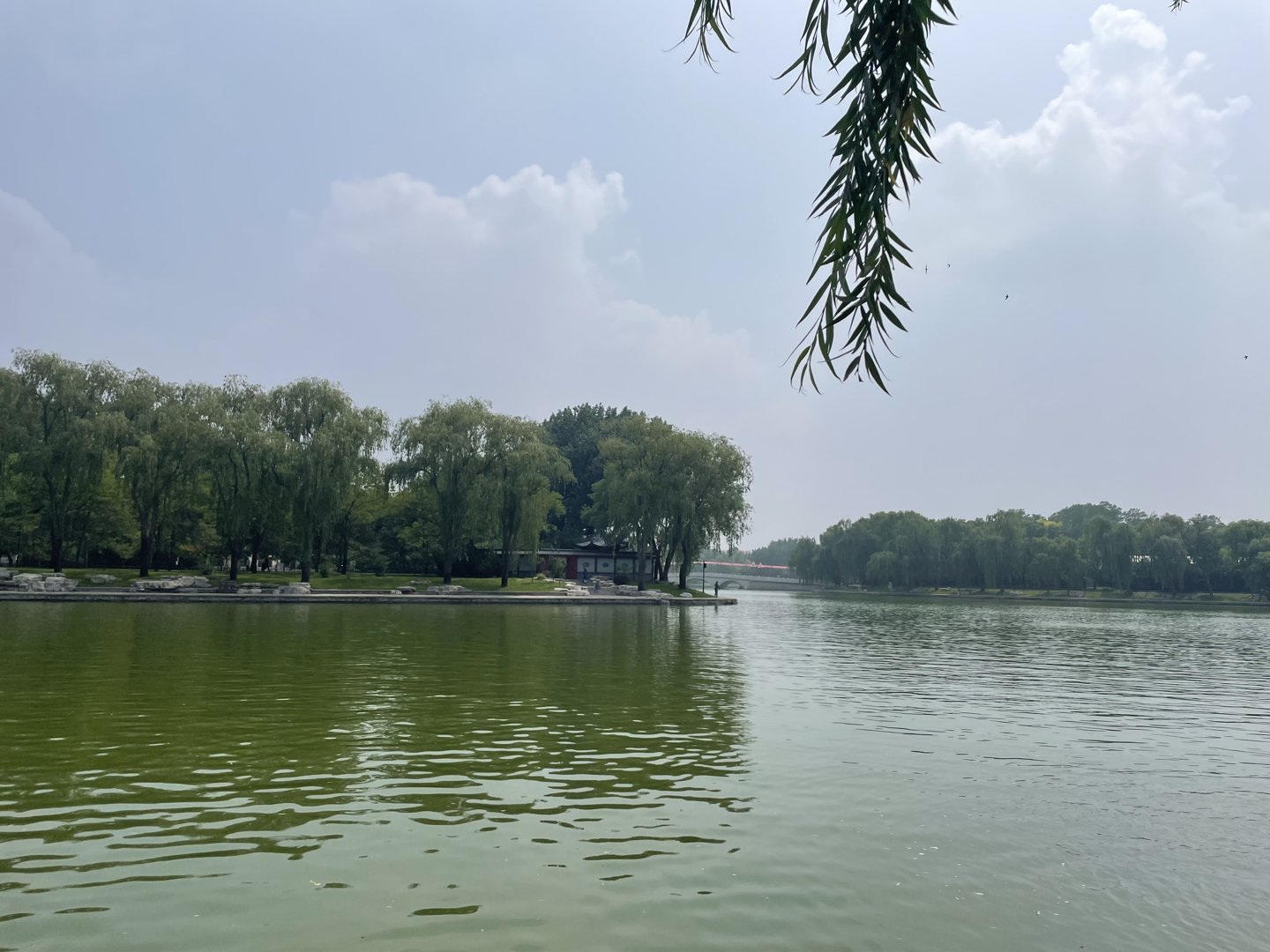 IMG_9787.jpeg