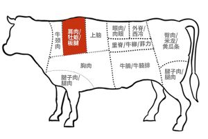 牛肉部位.jpg